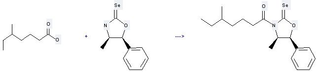 Heptanoicacid, 5-methyl- can be used to produce 5-methyl-1-(4-methyl-5-phenyl-2-selenoxo-oxazolidin-3-yl)-heptan-1-one at the temperature of 0 °C